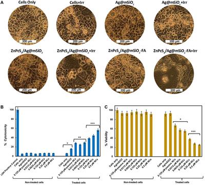 Zinc Phthalocyanine Tetrasulfonate-Loaded Ag@mSiO2 Nanoparticles for Active Targeted Photodynamic Therapy of Colorectal Cancer